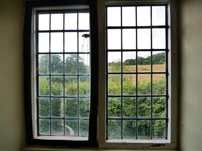 Picture 21